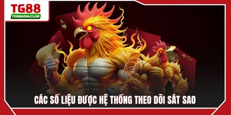 Các số liệu được hệ thống theo dõi sát sao